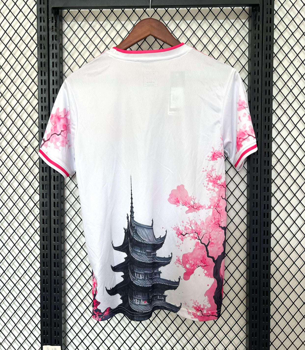 Japan Special