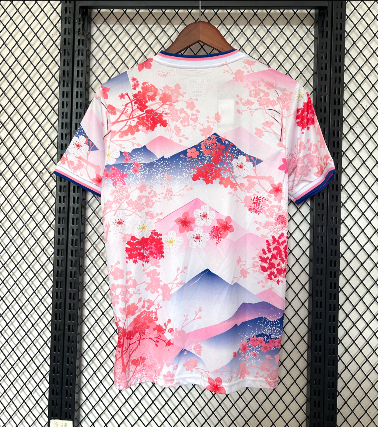 Japan Special