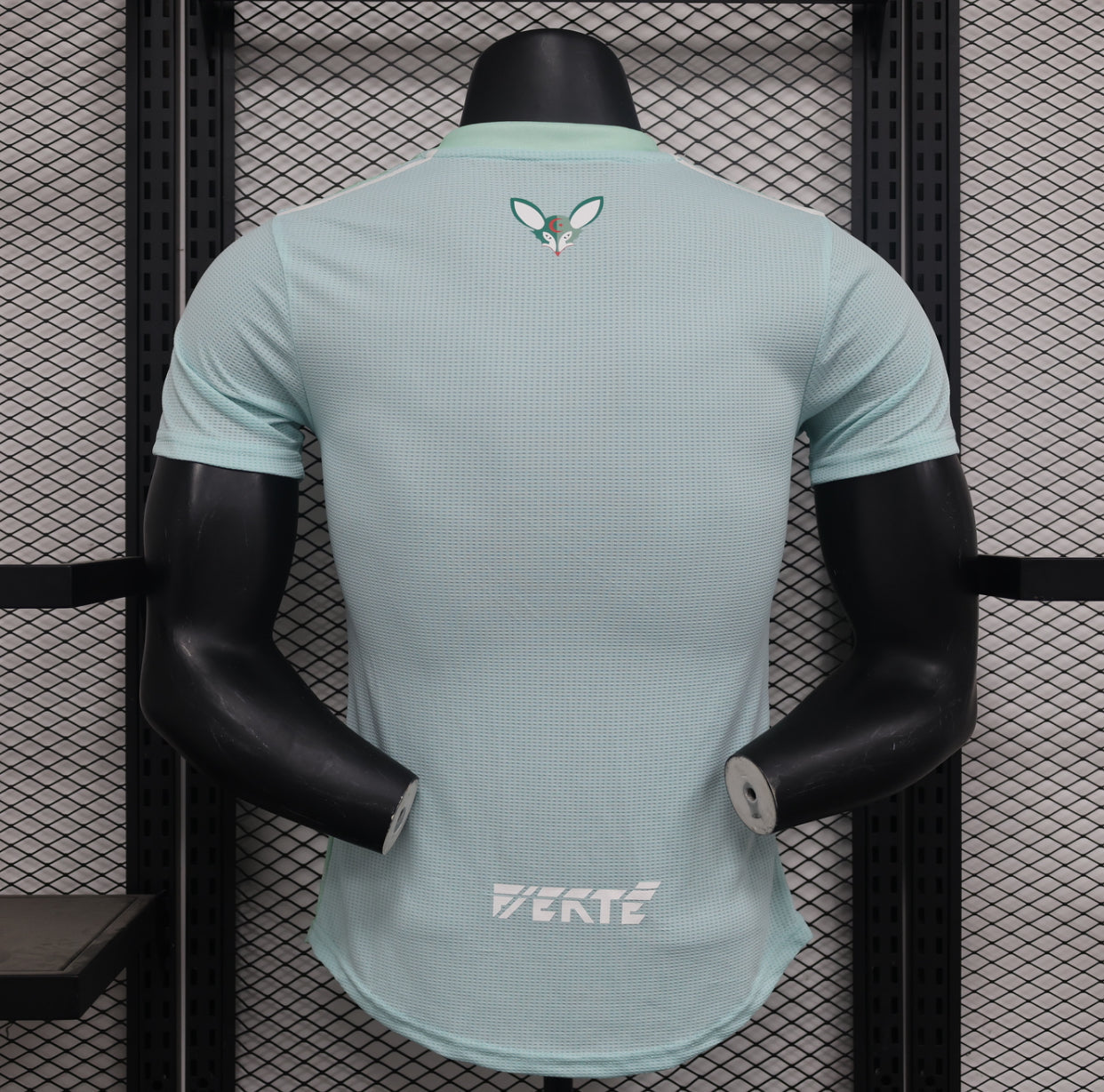 2024/25 Algeria (Player Version)