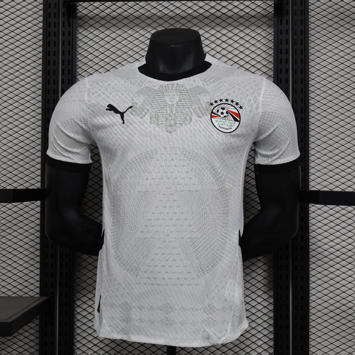 2025/26 Egypt (Player Version)