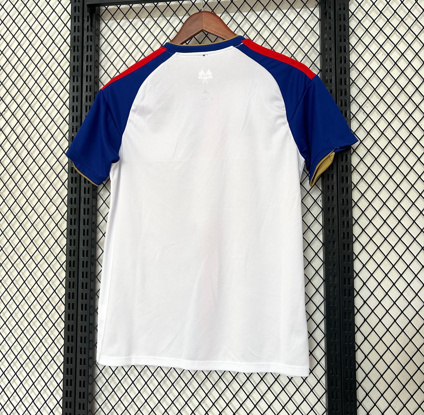 26/27 Lyon Home
